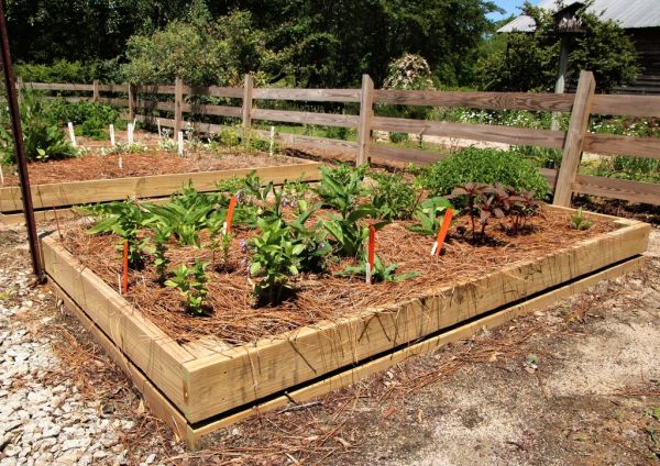 A raised herb bed